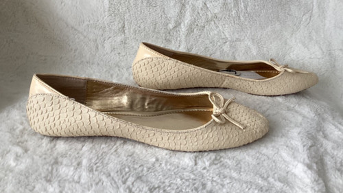 Bnwt zara vanilla - bnwt,
