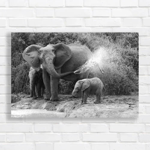 African elephant mother and - elephant,