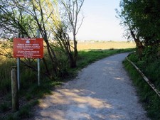 Photo 6x4 Tramper path by the