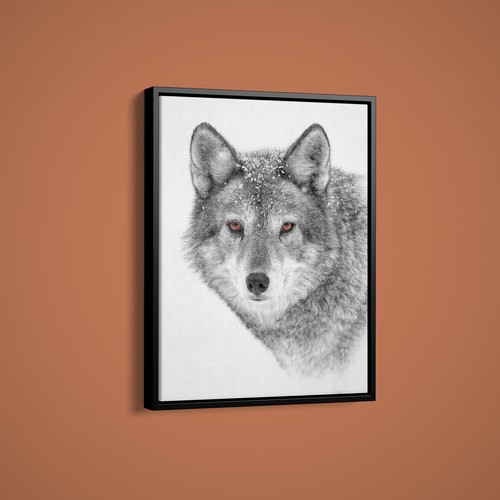 Jim cumming coyote - cumming,