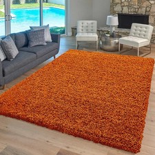 Thick Large Shaggy Rugs Non