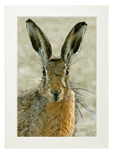 Full cloured hare limited - full, hare,
