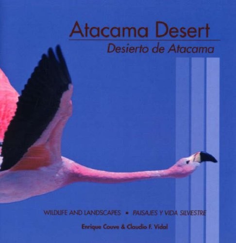 Atacama desert desierto de - atacama, /