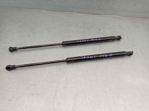 08410350 tailgate gas - 08410350,