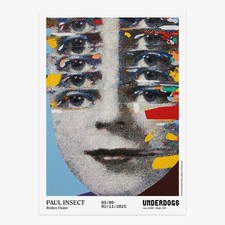 Paul Insect "Broken Vision"