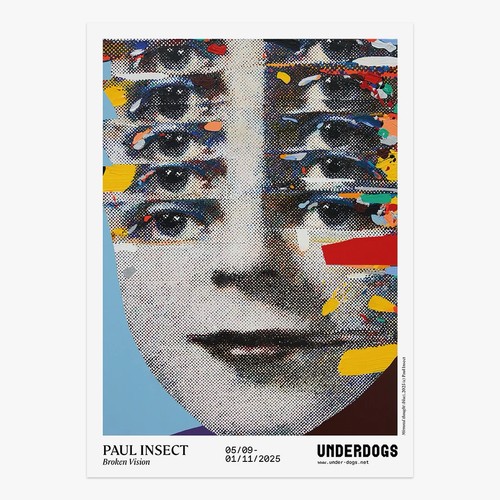 Paul insect broken vision - insect, vision"