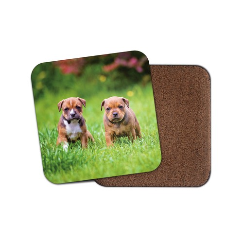 Cute staffy puppies coaster - coaster,