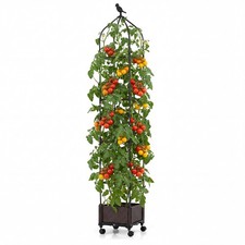Self watering tomato - self-watering, cage