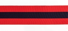 Distinguished conduct - distinguished,