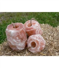 Himalayan Salt Lick for Horses
