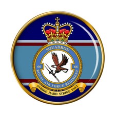 RAF Regiment 66 Squadron Pin Badge