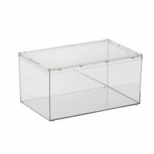 Acrylic terrarium compact - acrylic,