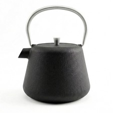 Cast Iron Teapot with Infuser