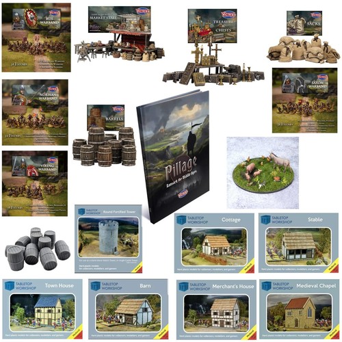 Pillage wargame book warbands - pillage,