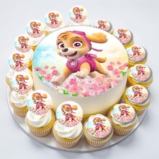 Paw Patrol Skye Pup Pink