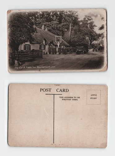 Postcard the cat - cat, and