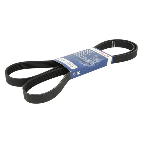 Ribbed belt bosch 987 - v-ribbed,