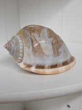 Vintage Carved Dolphin Cassidae Sea Shell Lovely Polished Fossil Decoration