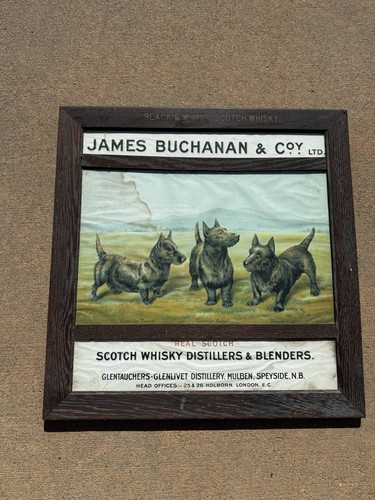 James buchanan scotch whiskey - scotch,
