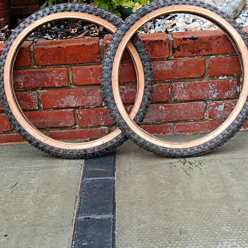20in 75 raleigh vektar - raleigh,