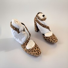 Next Cheetah Leopard Animal