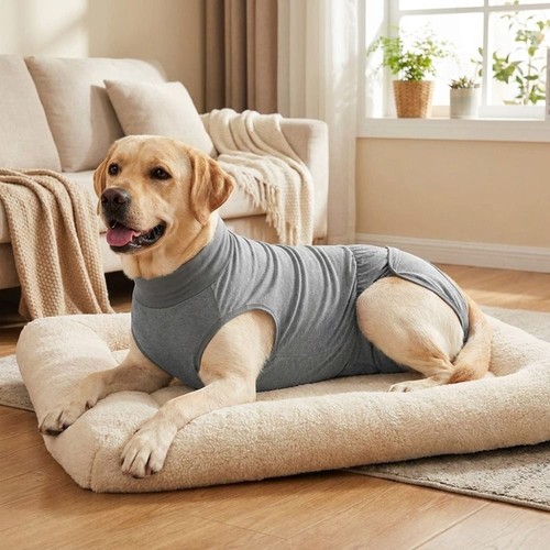 Dog sterilization suit - dog,