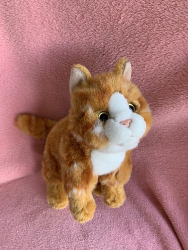 Teddy hermann ginger tabby cat - hermann,