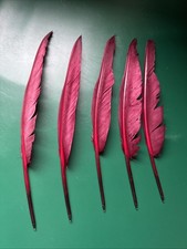 Feather quill pens - quill, biro