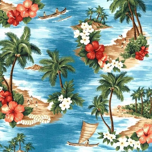 Beach aloha hawaiian - aloha,
