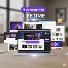 Elementor Pro - For Lifetime