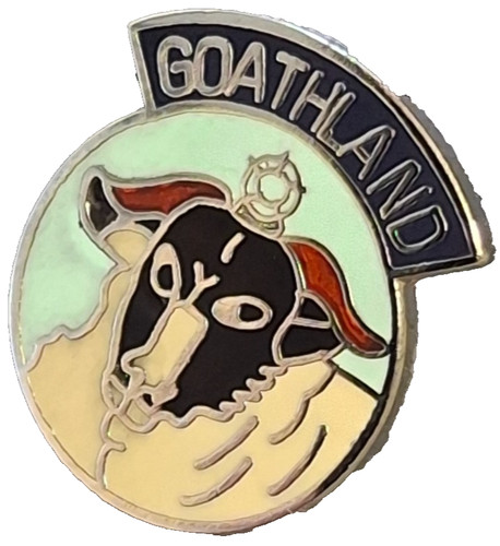 Goathland village small pin - village,