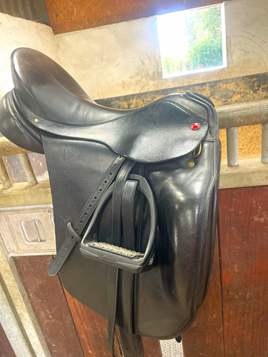 Albion mw dressage - albion, sl