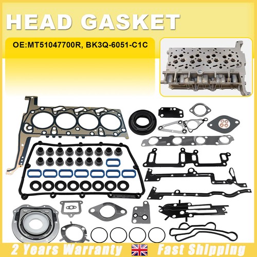 Engine gasket rebuild - rebuild, for
