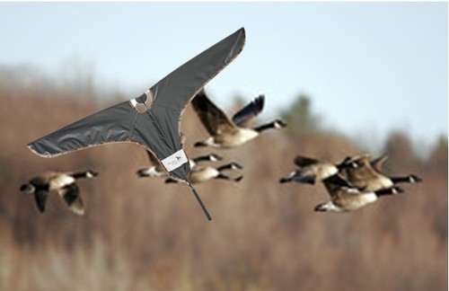 Goose decoy cabelas - cabelas, northern