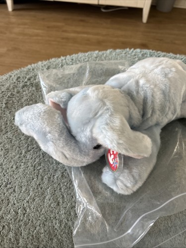 Buddy elephant called - ty,