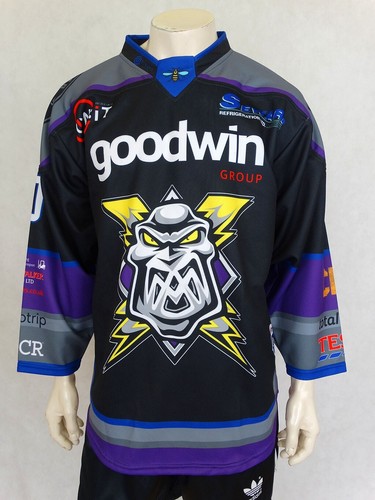 Manchester storm ice - manchester,