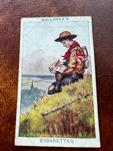Gallaher cigarette card - gallaher, boy