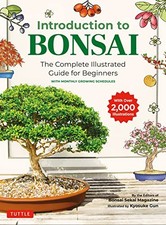 Introduction to Bonsai: The