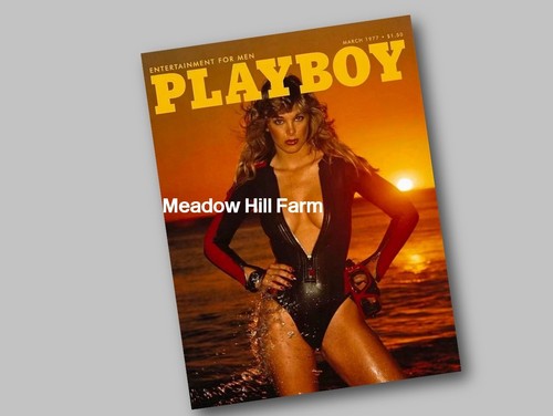 Fridge magnet playboy magazine - fridge,