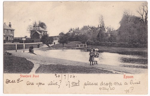 Epsom stamford pond surrey old - pond,