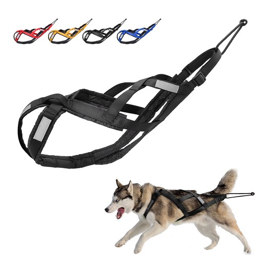 Sledding dog weight pulling - sledding,
