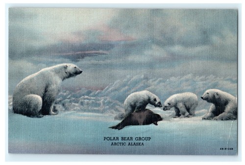 Polar bear group - group, alaska