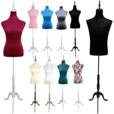 Mannequin Torso with