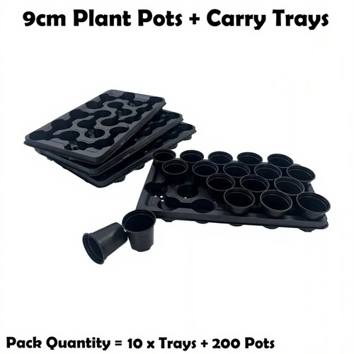200 9cm plant - 9cm,