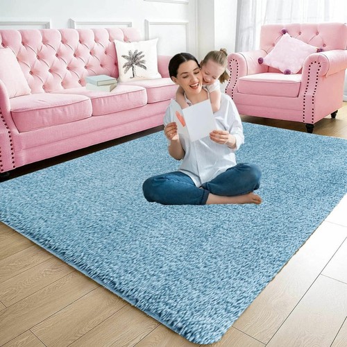 Large shaggy rugs non - large, slip