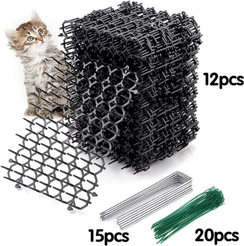 12x cat scat mat - mat, spike