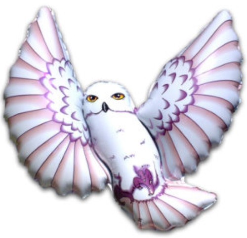 Owl brown feathers harry - owl,