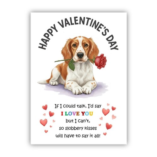 Brittany spaniel dog - brittany,