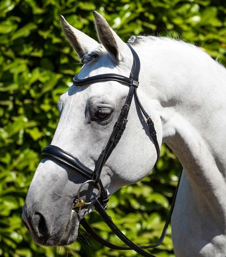 Premier equine verdura - premier,