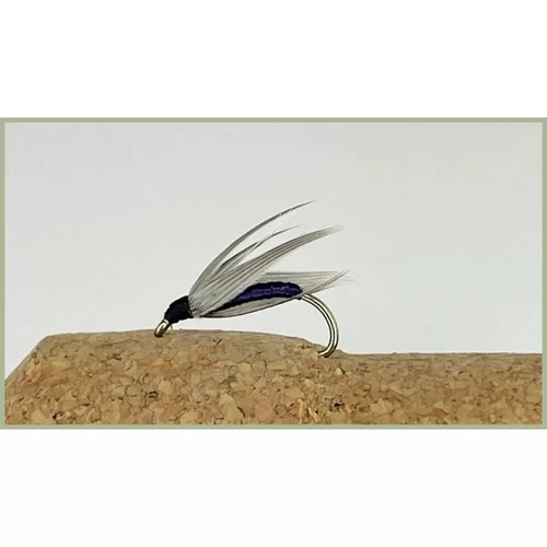 Snipe and purple trout - snipe,